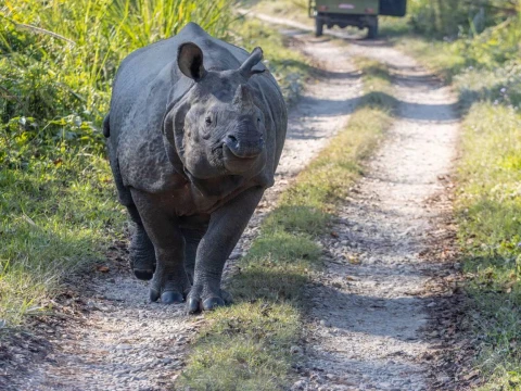Kathmandu Chitwan Tour