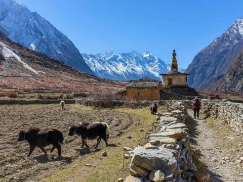 Tsum Valley & Manaslu Circuit Trek with Larke La Pass crossing